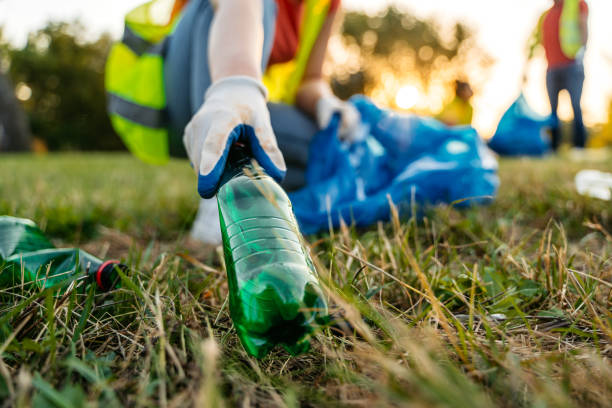 Best Yard Cleanup Services  in Eastpointe, MI